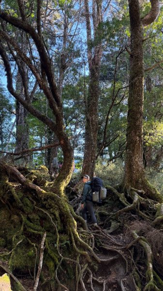 中央尖山 2025 11/7 三天兩夜2935756