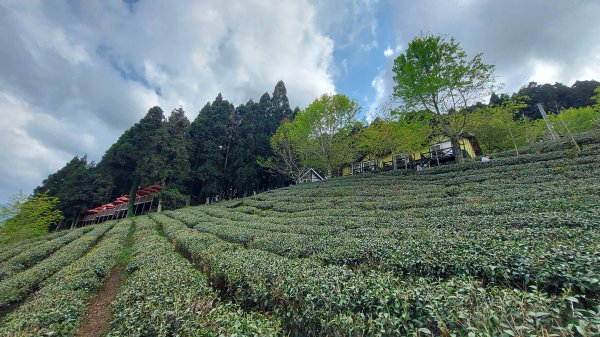 111/03/13新竹五峰天際線：鵝公髻山(第一登山口上、山上人家下)1649600