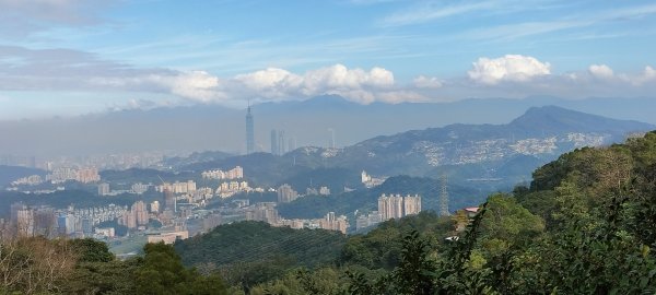 貓空樟湖、樟樹環型步道2414926