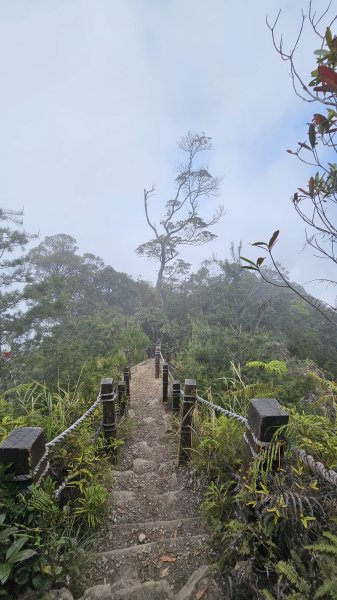 【美美兔走山趣】谷關抓雄-老六白毛2749980