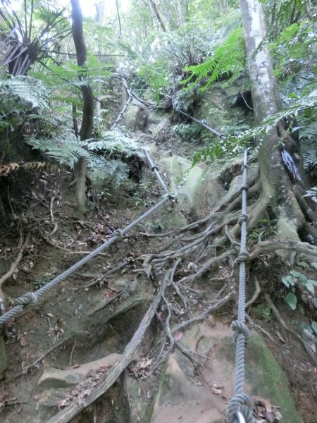 猴山岳步道封面