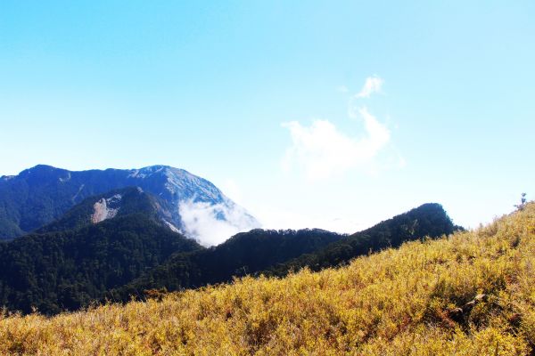 閂山、鈴鳴山 ~ 山巔雲端 , 與美麗山林307237