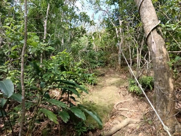 貢寮區新厝山+澳底尖(火炎山)+美艷山+金沙灣2989684