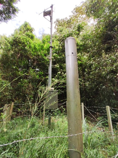 2025/6/14 橫龍山2839230