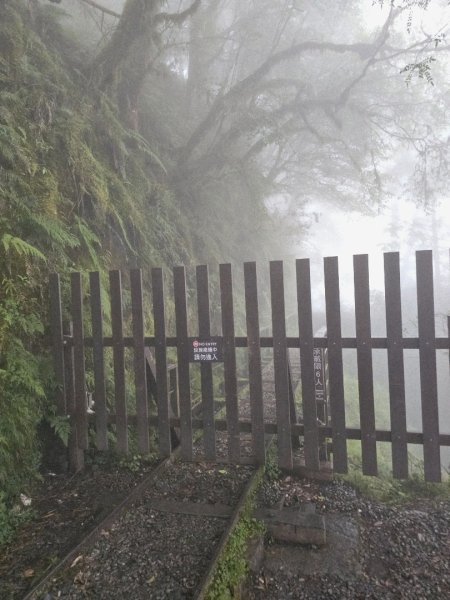 見晴懷古步道-(宜蘭)臺灣百大必訪步道2827763