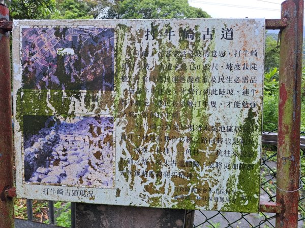 2026樟之細道：清水坑古道-伙房崎古道-大牛崎古道3111870