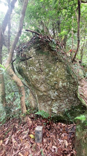 聖人瀑布➡️聖人崙➡️雙溪山+梅花五弄➡️帕米爾公園➡️聖人橋O型2797051