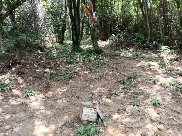 內湖區大丘田保甲路+開眼山+白石湖山+白石湖山東峰+大邱田山+消防山O型2858871