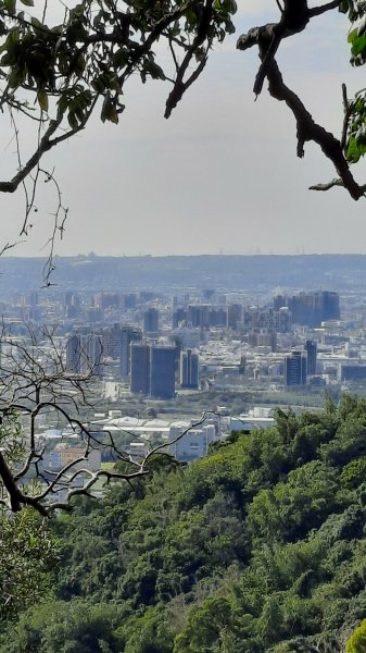 《台中》新春減肥｜大坑步道7上6下202202061602053