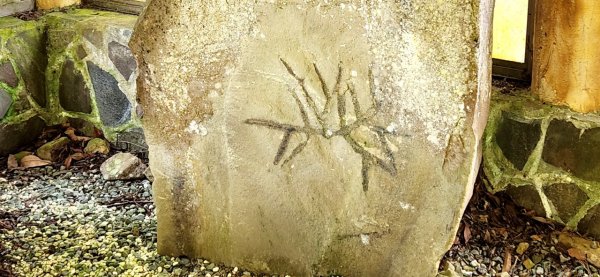 【中級山縱走】志繼山，東眼山，拉卡山，卡外山，東滿步道2742597