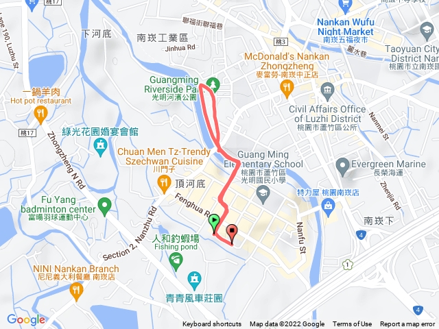 南崁溪夜鷺