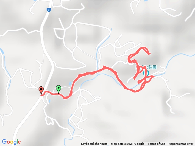 苗栗三灣落雨松