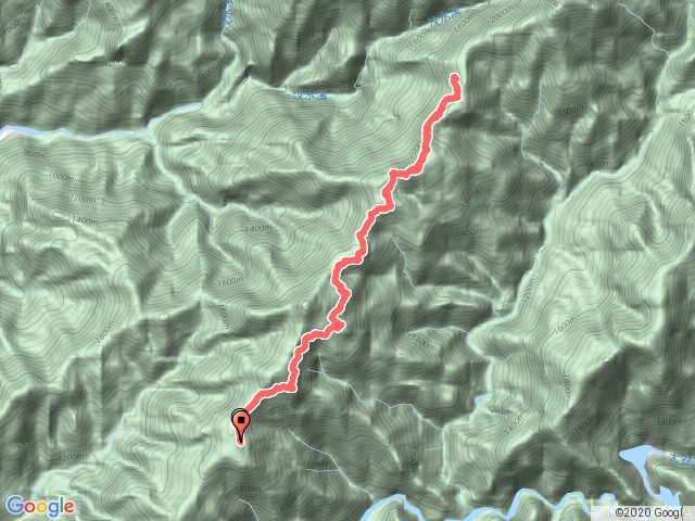 雪見司馬限林道登北坑山探訪大板根
