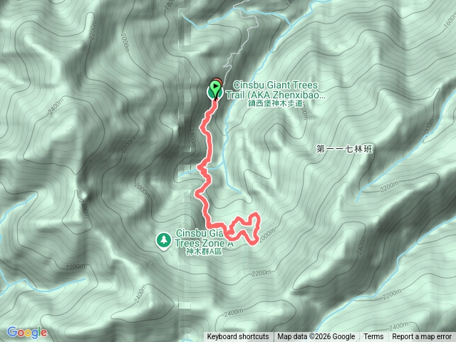 新竹－臺灣百大必訪步道鎮西堡巨木群步道（B區）202602251222預覽圖