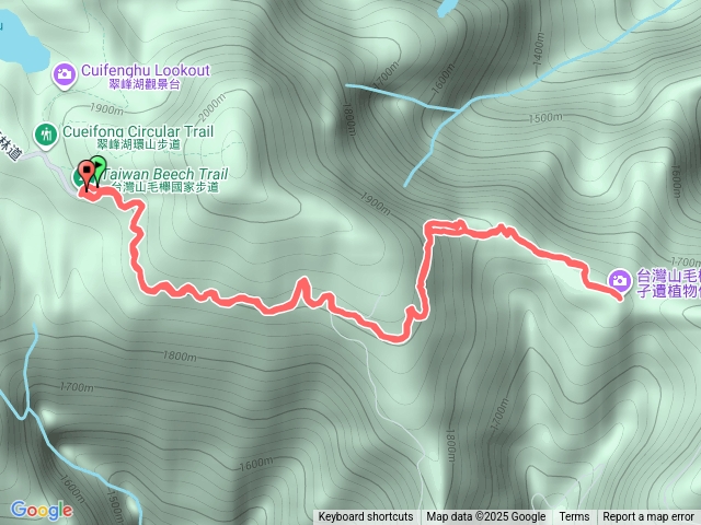 20251110太平山山毛櫸國家步道
