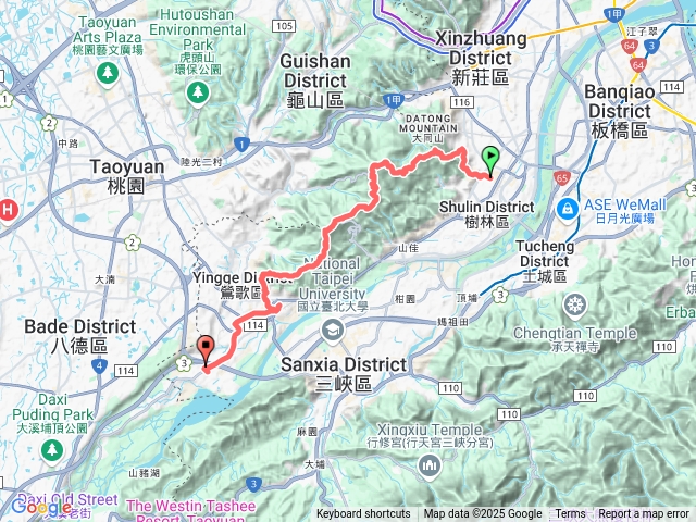 20250101樹鶯緃走