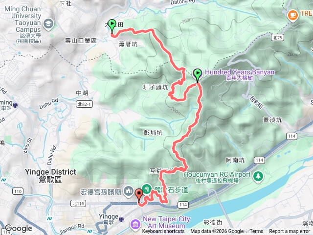 福源孫龍預覽圖