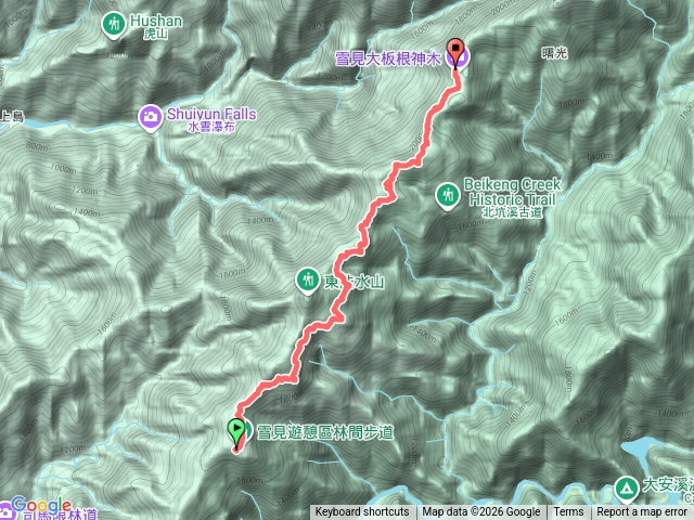 雪見大板根20260131預覽圖