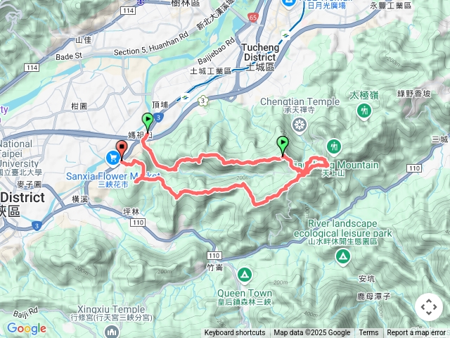 20250501臺北天際線第十段(桐花白雪落五月)