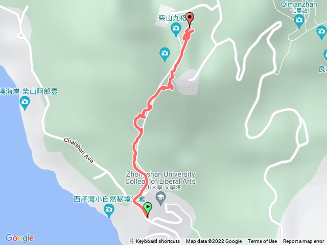 九龍榕