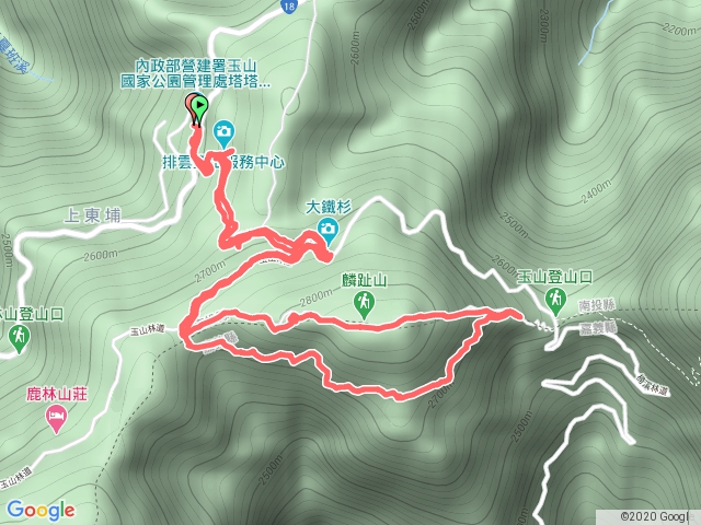 麟趾山 塔塔加步道 大鐵杉 黑森林步道