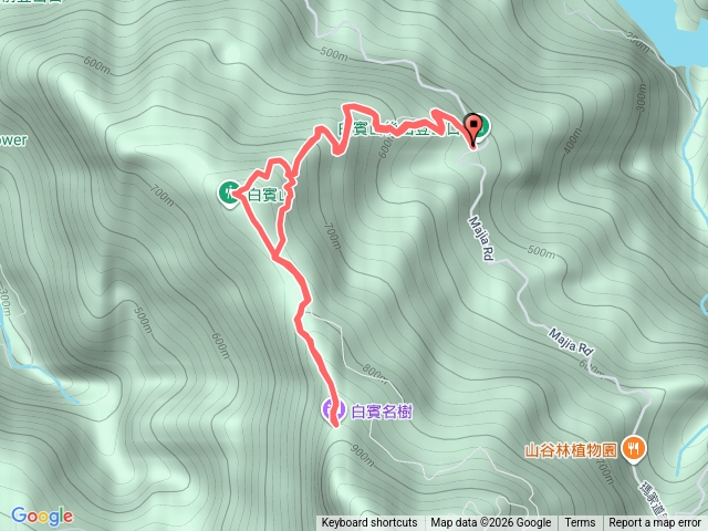 20260217初一白賓山與名樹預覽圖