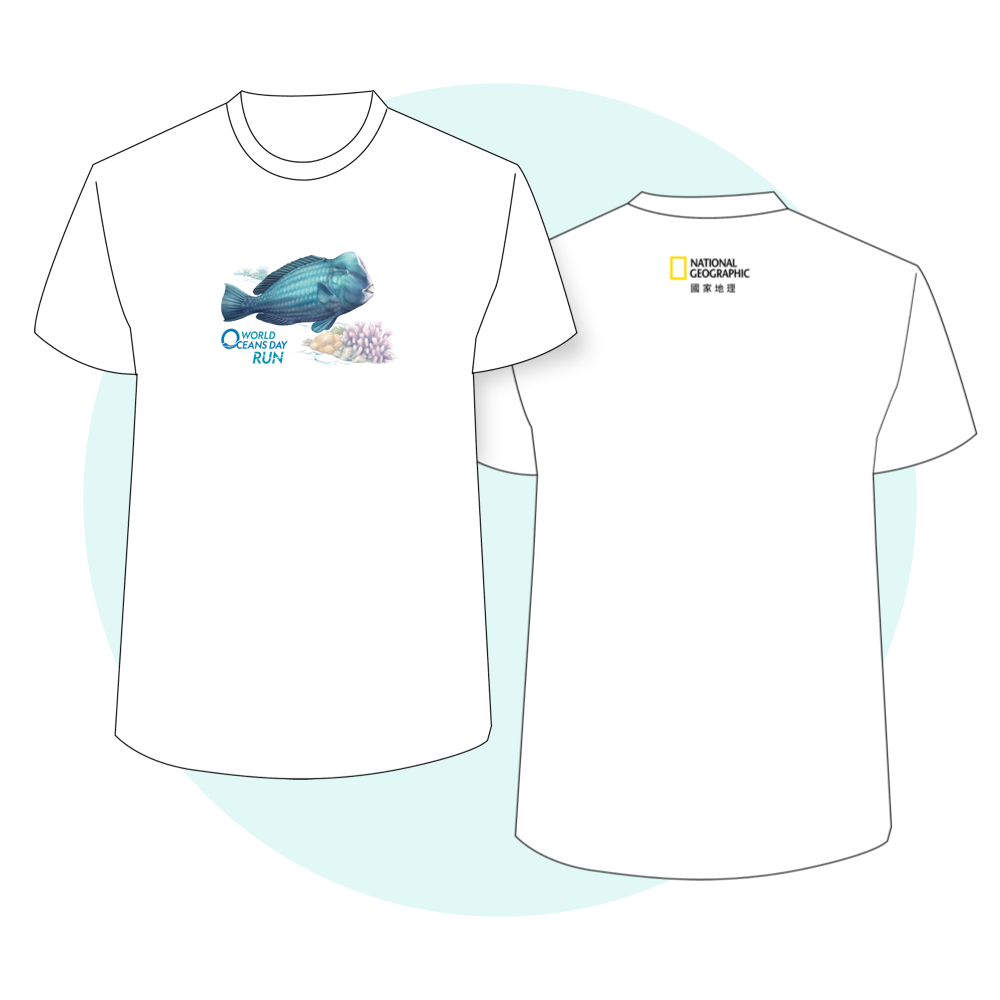 一張含有 服裝, 運動衫, 襯衫, T 恤 的圖片 rn自動產生的描述