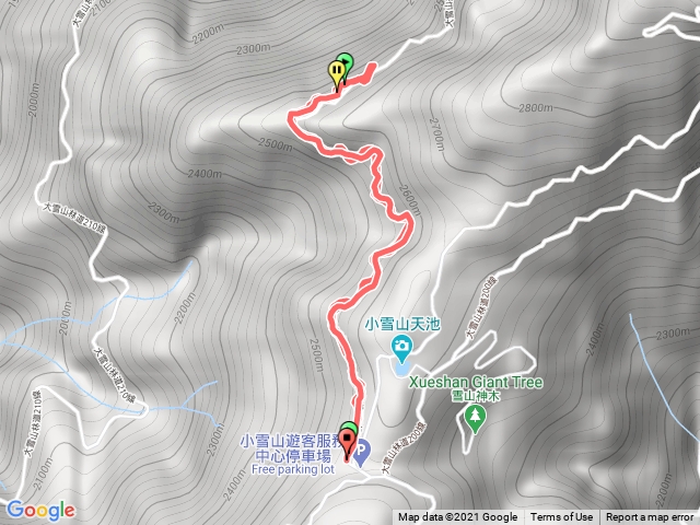 大雪山西勢山林道尋一葉蘭