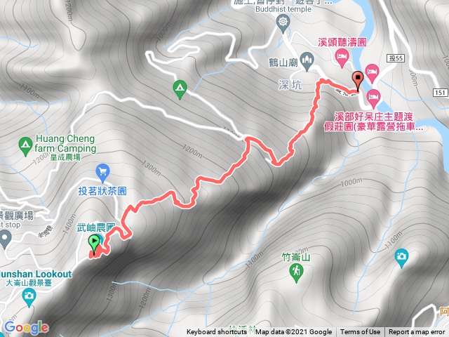 南投大半天銀杏賞景