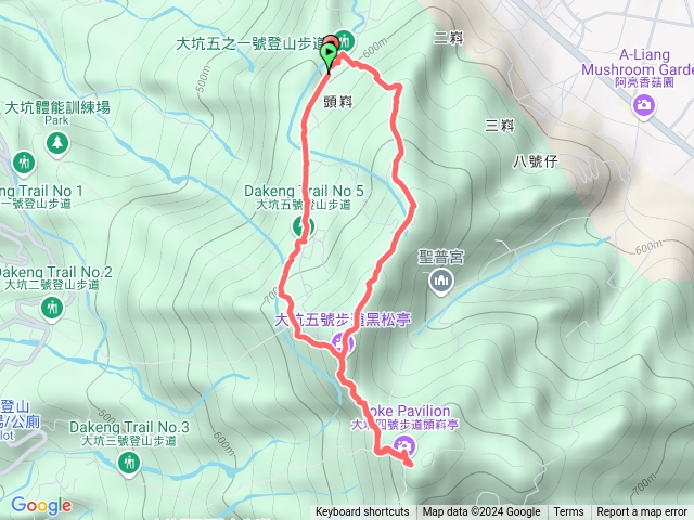 12/29大坑5、5-1預覽圖