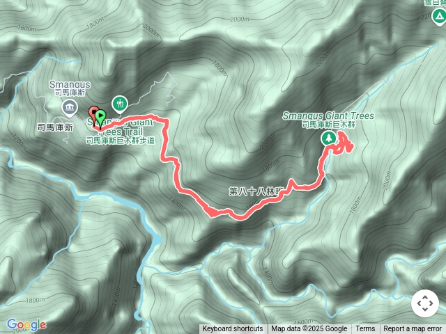 20250303司馬庫斯巨木步道（含新闢巨木步道）預覽圖