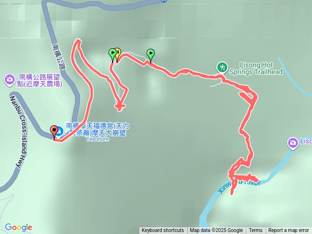 台東栗松預覽圖