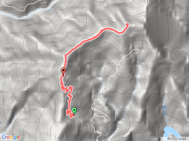 2019網子山、鳴海山(無標示)