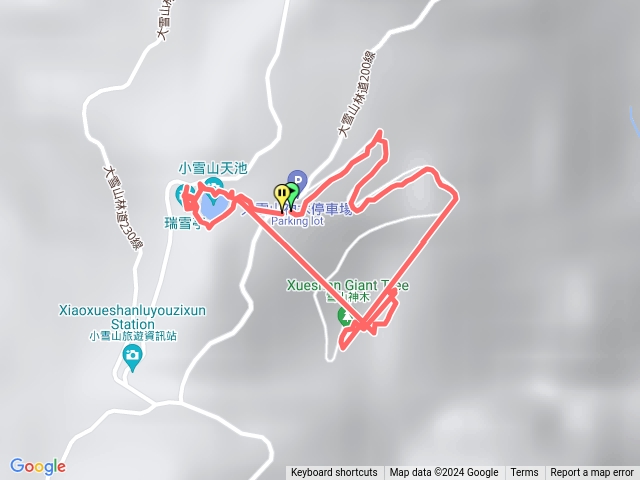 雪山神木天池不到