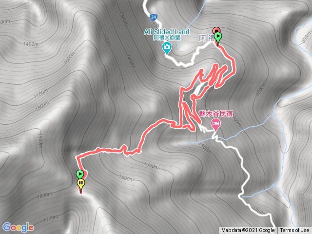 1100122井步山（未完）櫻花行