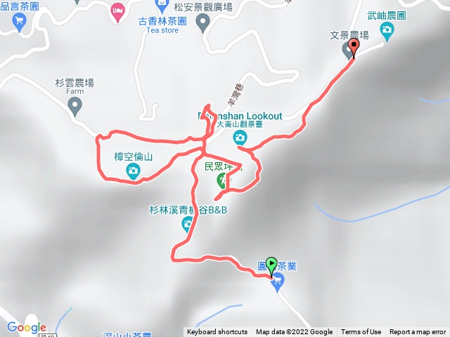 南投鹿谷大崙山銀杏森林