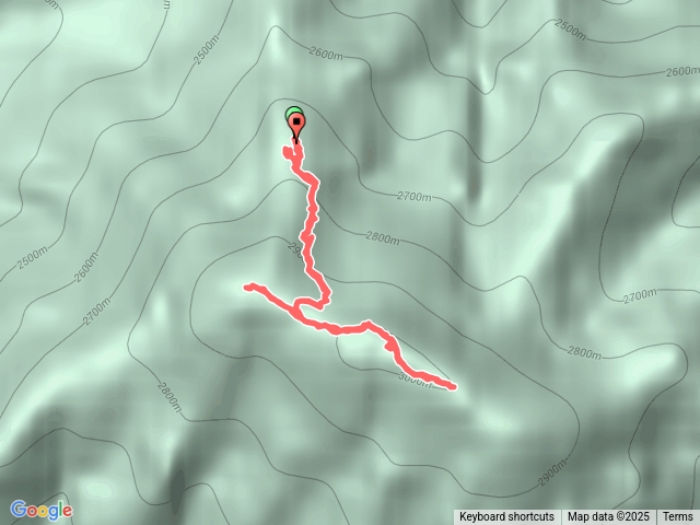 新疆馬牙山（天山天池）