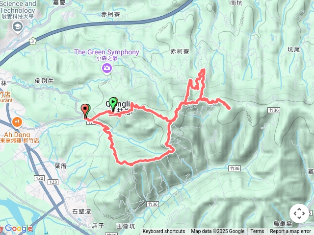 飛鳳山大板根大O繞