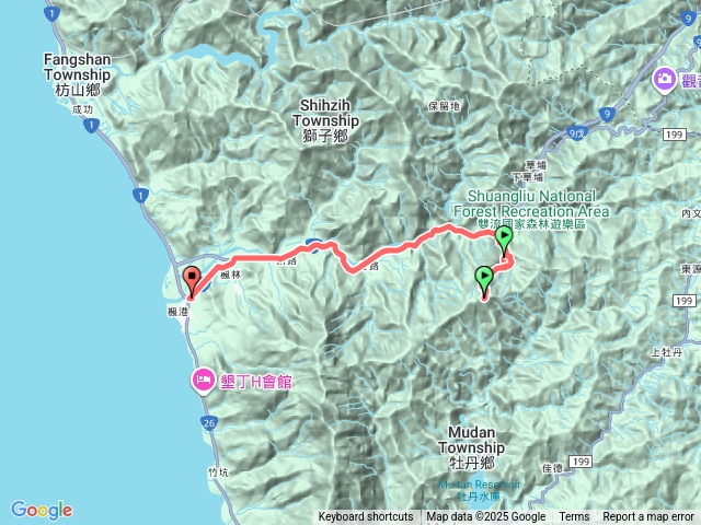 女乃山茄苳巨木