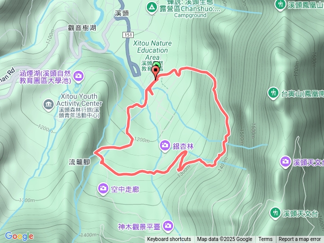 溪頭賞鳥步道.銀杏步道預覽圖