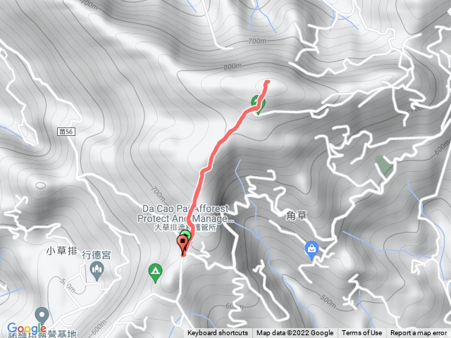 關刀山苗58