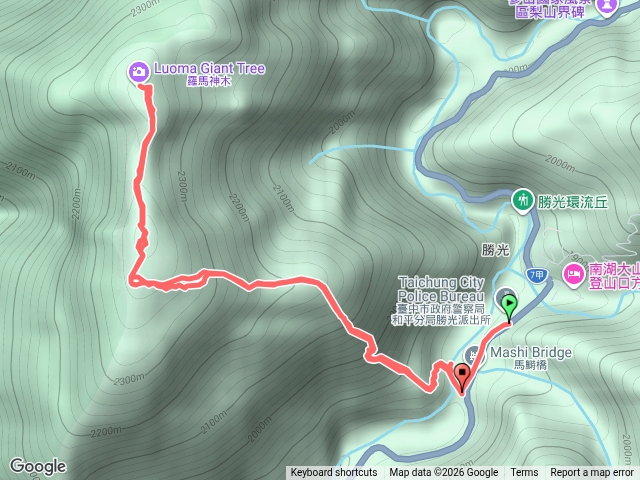 羅馬神木 (馬鰣橋進出)預覽圖