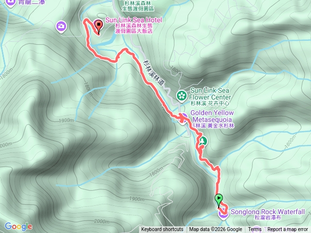 260214杉林溪_樂山步道,穿林棧道預覽圖