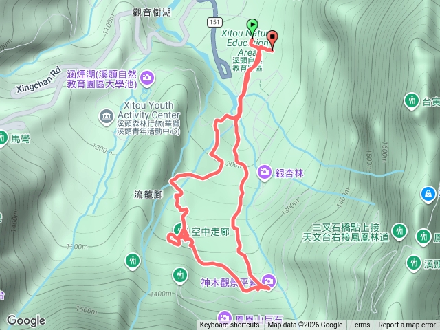 溪頭神木步道