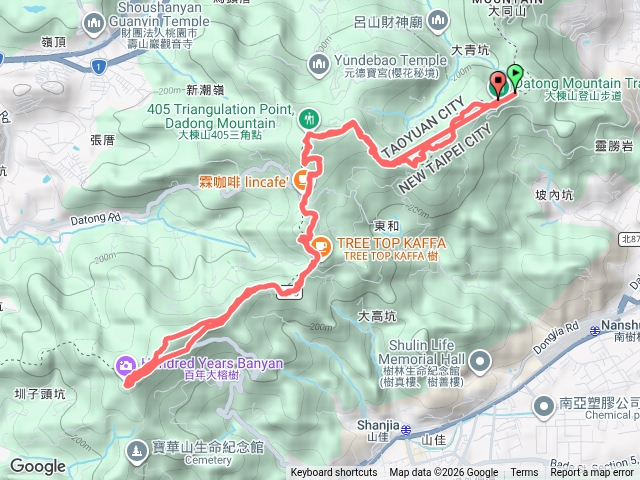 大棟山大榕樹來回預覽圖
