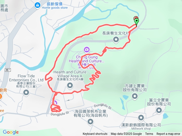 20250104-長庚養生村落羽松