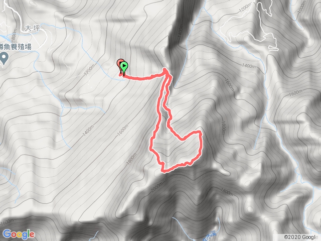 加里山，大坪登山口、杜鵑嶺、鐵枝路