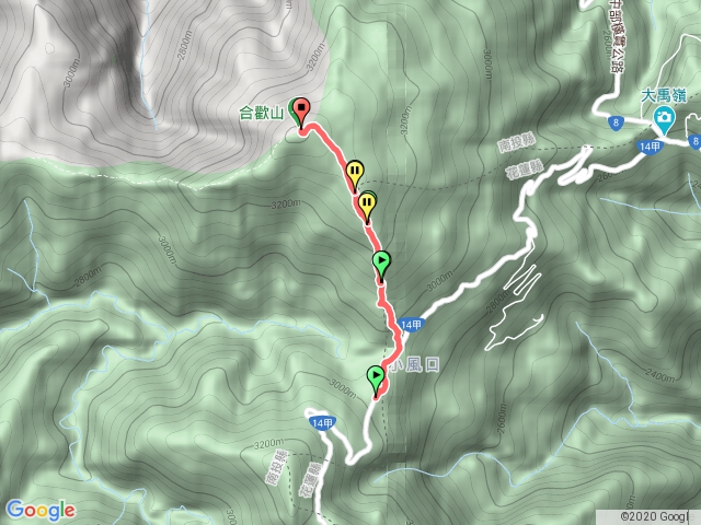 合歡山北峰杜鵑 第一衝