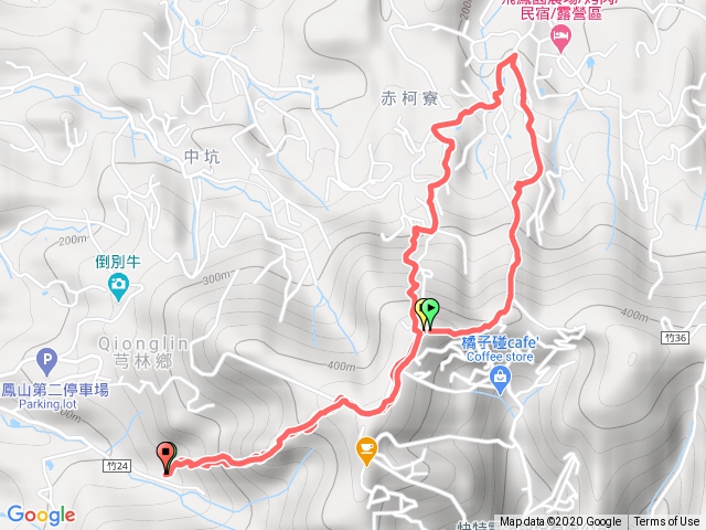 飛鳳山大板根