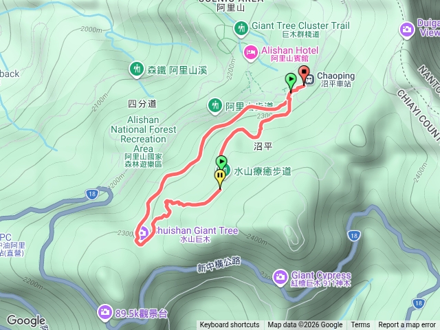 水山巨木預覽圖